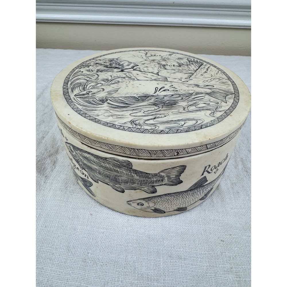 Vintage British Fish Illustrated Ceramic Round Trinket Box Office Cabin Decor